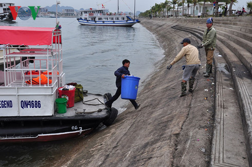 o nhiem moi truong vinh ha long can su vao cuoc tu nhieu phia