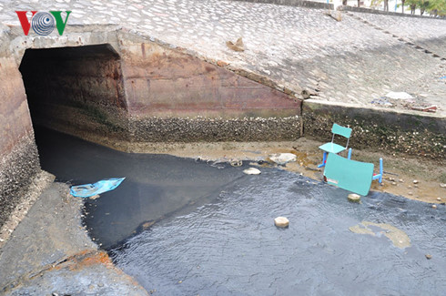 Ô nhiễm môi trường vịnh Hạ Long: Cần sự vào cuộc từ nhiều phía