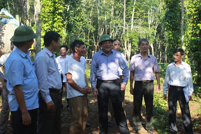 ve dich ben vung nho vuot tieu chi kho