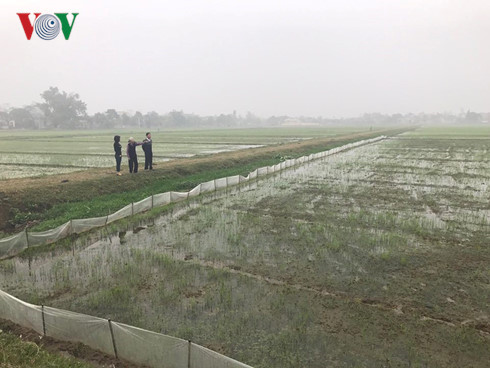 sai pham don dien doi thua o nam dinh mat dan chu va sai nguyen tac