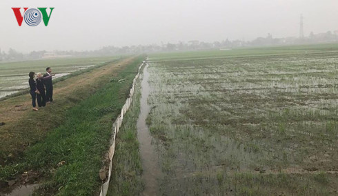 sai pham don dien doi thua o nam dinh mat dan chu va sai nguyen tac