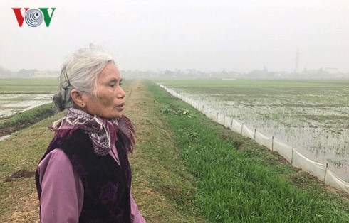 sai pham don dien doi thua o nam dinh mat dan chu va sai nguyen tac