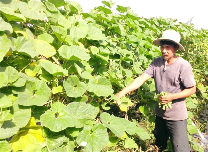 xay dung nong thon moi o mot xa 94 dong bao khmer