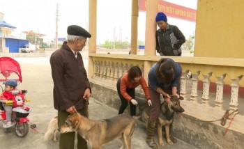 Thành phố Thái Nguyên: hoàn thành tiêm phòng 25 nghìn vật nuôi