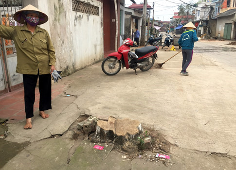 ha noi ra cong van khan cam tu y chat cay xanh khi dep via he