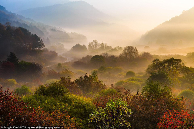 ruong bac thang mu cang chai lot top anh dep tai giai anh quoc te