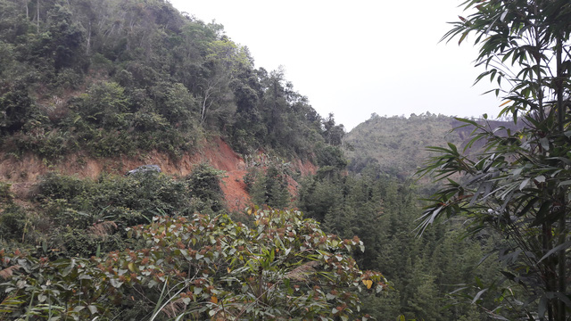 co giao da di nang o diem truong po diem