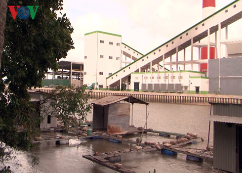 hau giang nha may giay van hanh thu nghiem dan keu cuu vi o nhiem