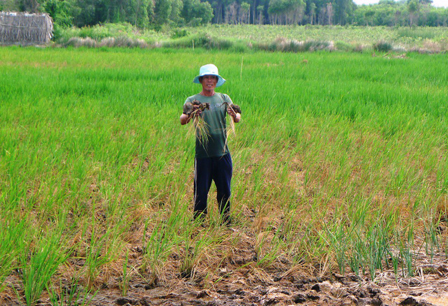 dan buc xuc thuc can bo dung hua nua mau cuu lua cuu dan