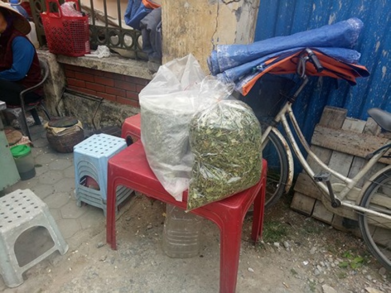 Hại đủ đường khi sử dụng dược liệu trị tiểu đường trôi nổi