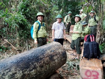 Vụ tàn phá rừng phòng hộ: Nhiều lực lượng mà không giữ được rừng!