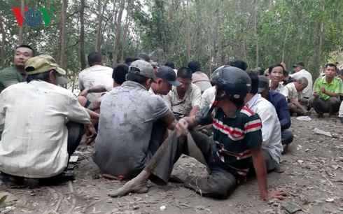 gan 90 doi tuong da ga an tien trong rung phong ho