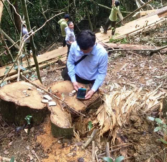 rung ua mau trong khu bao ton thien nhien o hoa binh