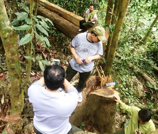 rung ua mau trong khu bao ton thien nhien o hoa binh