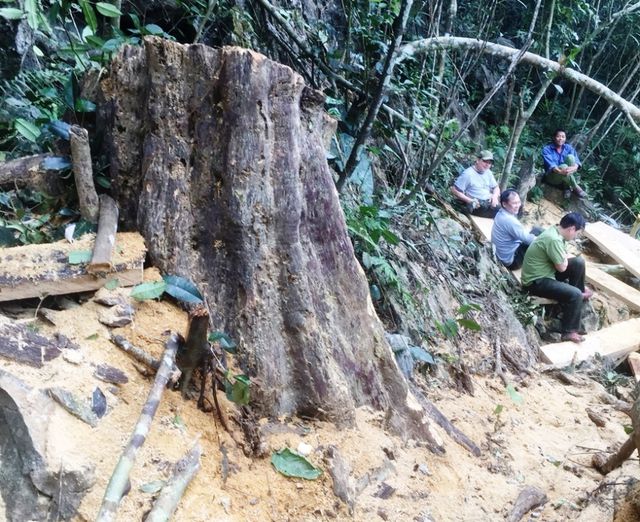 rung ua mau trong khu bao ton thien nhien o hoa binh