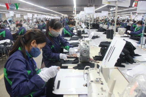 phat trien bhxh phi chinh thuc van giam chan tai cho