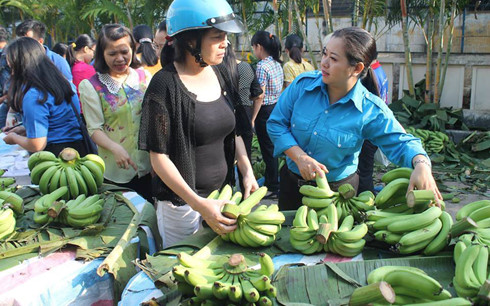 vi sao phai giai cuu nong san hai lan trong quy i