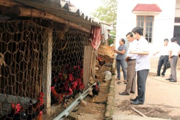 Tiên Yên ưu tiên phát triển sản xuất trong xây dựng NTM