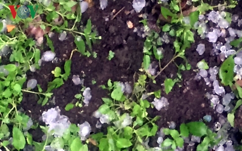 Giông lốc, mưa đá tại Sơn La gây thiệt hại trên 3,5 tỷ đồng