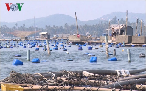 nhuc nhoi nan danh bat hai san huy diet o phu yen