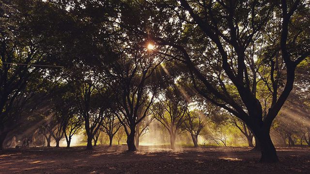 kham pha 4 diem cam trai tuyet dep ngay giua ha noi trong dip nghi le