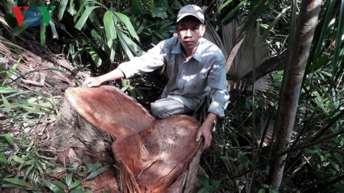 co hay khong viec bao ke lam tac pha rung di san o quang binh