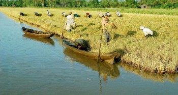 Nợ như "chúa Chổm", Nông trường Sông Hậu xin khoanh nợ và xoá lãi