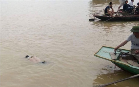 doi nam nu nhay cau tu van luc rang sang