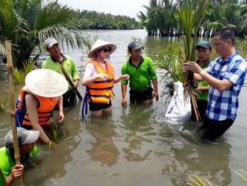 Thú vị với trải nghiệm tour du lịch trồng dừa nước ở Hội An