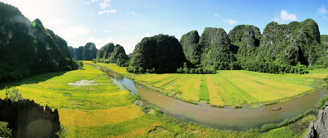 Đẹp ngỡ ngàng Tam Cốc mùa lúa chín