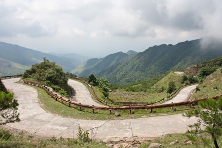 len dinh mau son ngam hoa cam tu cau da no ruc