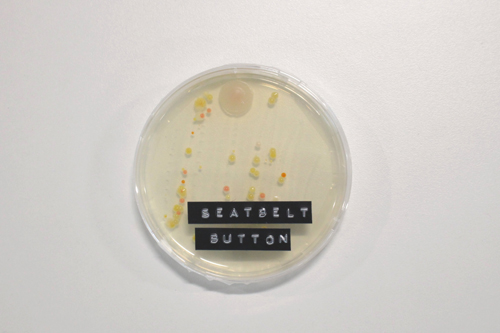 Những vị trí bẩn nhất trên ôtô ít người để ý nhung vi tri ban nhat tren oto it nguoi de y