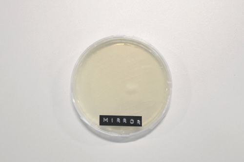 Những vị trí bẩn nhất trên ôtô ít người để ý nhung vi tri ban nhat tren oto it nguoi de y