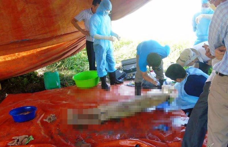 cai chet bat thuong cua nu ke toan nhung tinh tiet giat minh tu cuoc khai quat