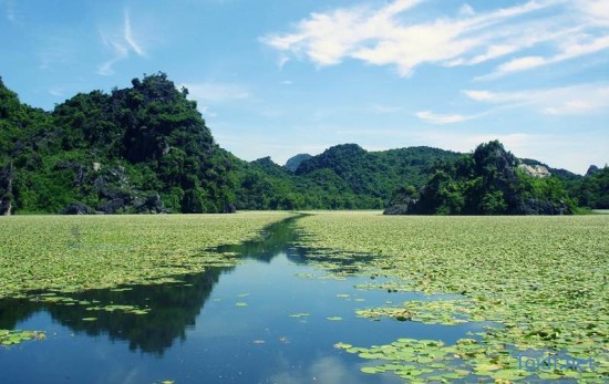 nhiet do hon 41 do c di dau quanh ha noi de tron nong