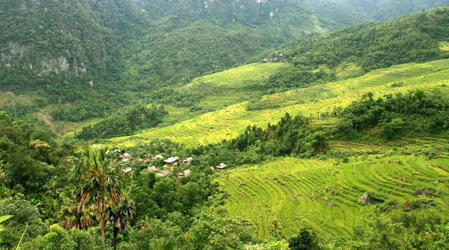 say long voi pu luong goc an minh cua thien nhien xu thanh