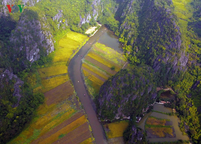 anh ve dep mua lua chin o vinh ha long tren can