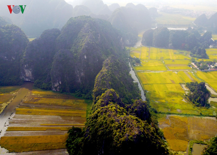 anh ve dep mua lua chin o vinh ha long tren can