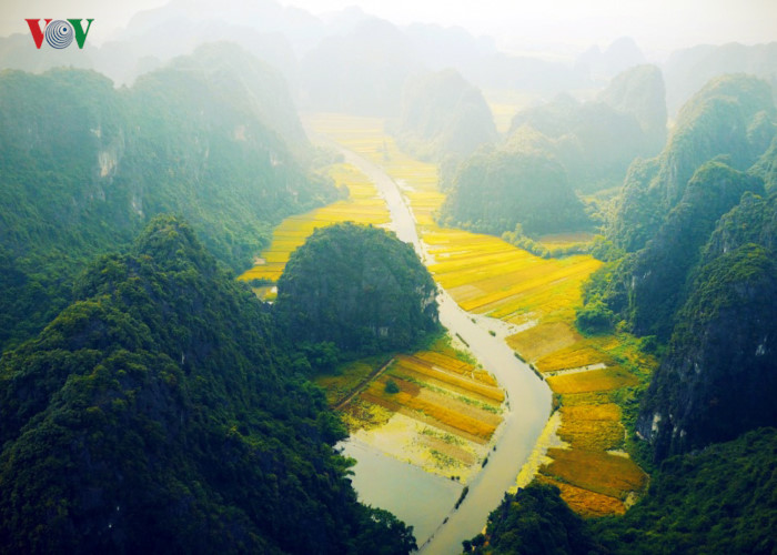 anh ve dep mua lua chin o vinh ha long tren can