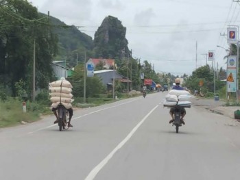 500.000 tấn đường thẩm lậu vào Việt Nam bằng đường nào?