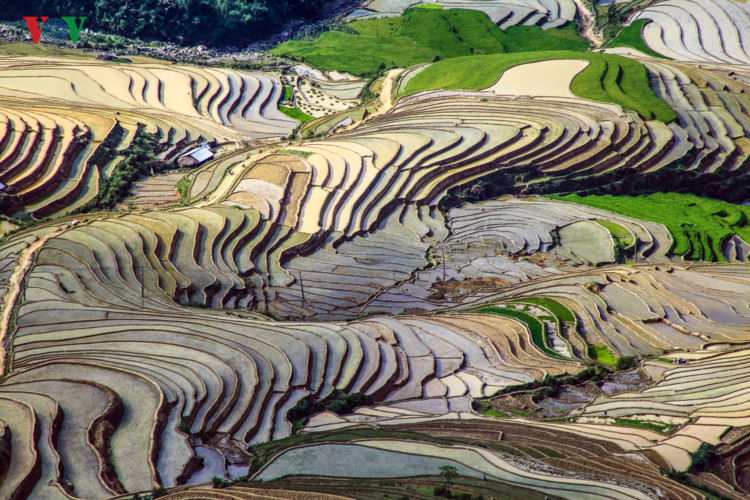 can canh mu cang chai dep lung linh mua do nuoc