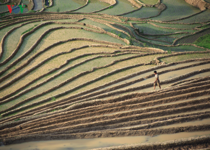 can canh mu cang chai dep lung linh mua do nuoc