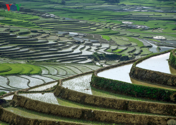 can canh mu cang chai dep lung linh mua do nuoc