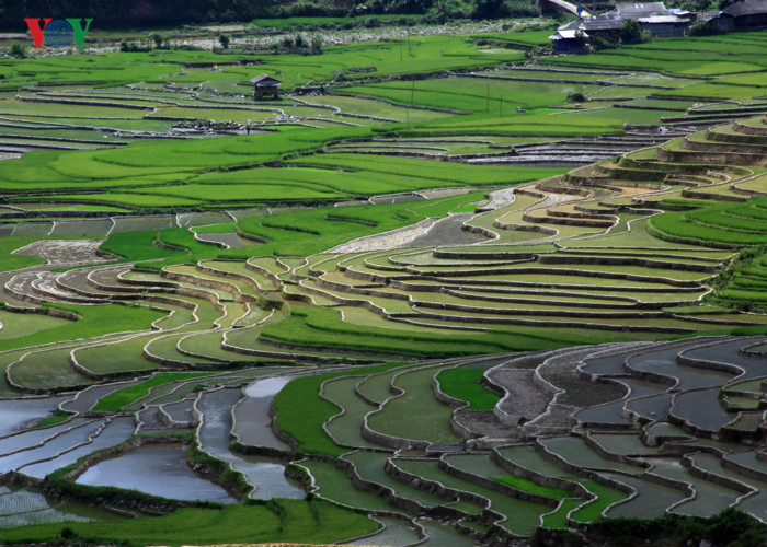 can canh mu cang chai dep lung linh mua do nuoc