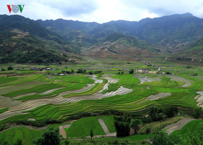 can canh mu cang chai dep lung linh mua do nuoc