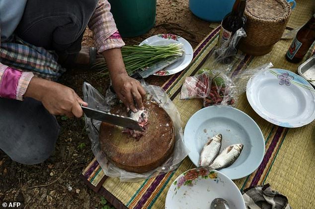 ung thu duong mat cao nhat the gioi vi an ca song