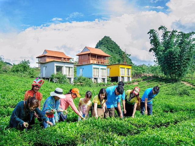 de khach tay cuoc dat cho trau di bua huong di moi cua nganh du lich