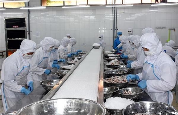 5 tháng đầu năm, xuất khẩu thủy sản giảm nhưng nhập khẩu tăng 5 thang dau nam xuat khau thuy san giam nhung nhap khau tang