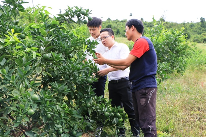 vung thuong ky anh bien soi da thanh com