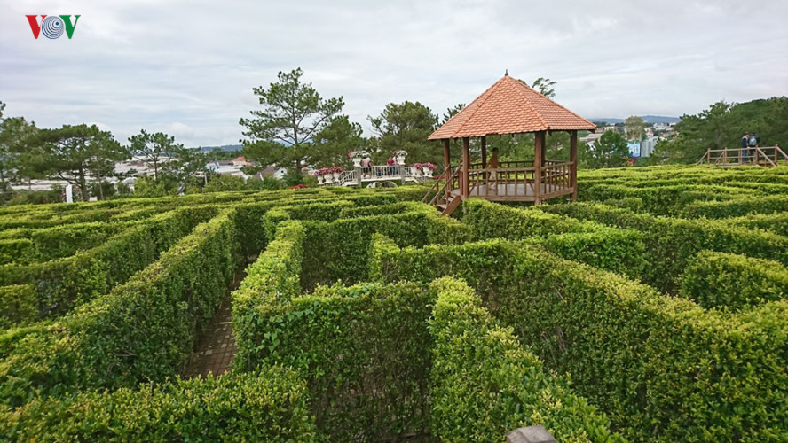 da lat khong chi co thung lung tinh yeu